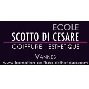 École Scotto Di Cesare